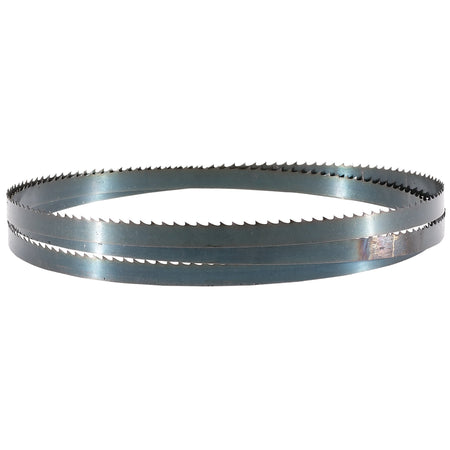 Wood Bandsaw Blade, 1575 x 9.5mm, 6tpi: Model No. BB1575