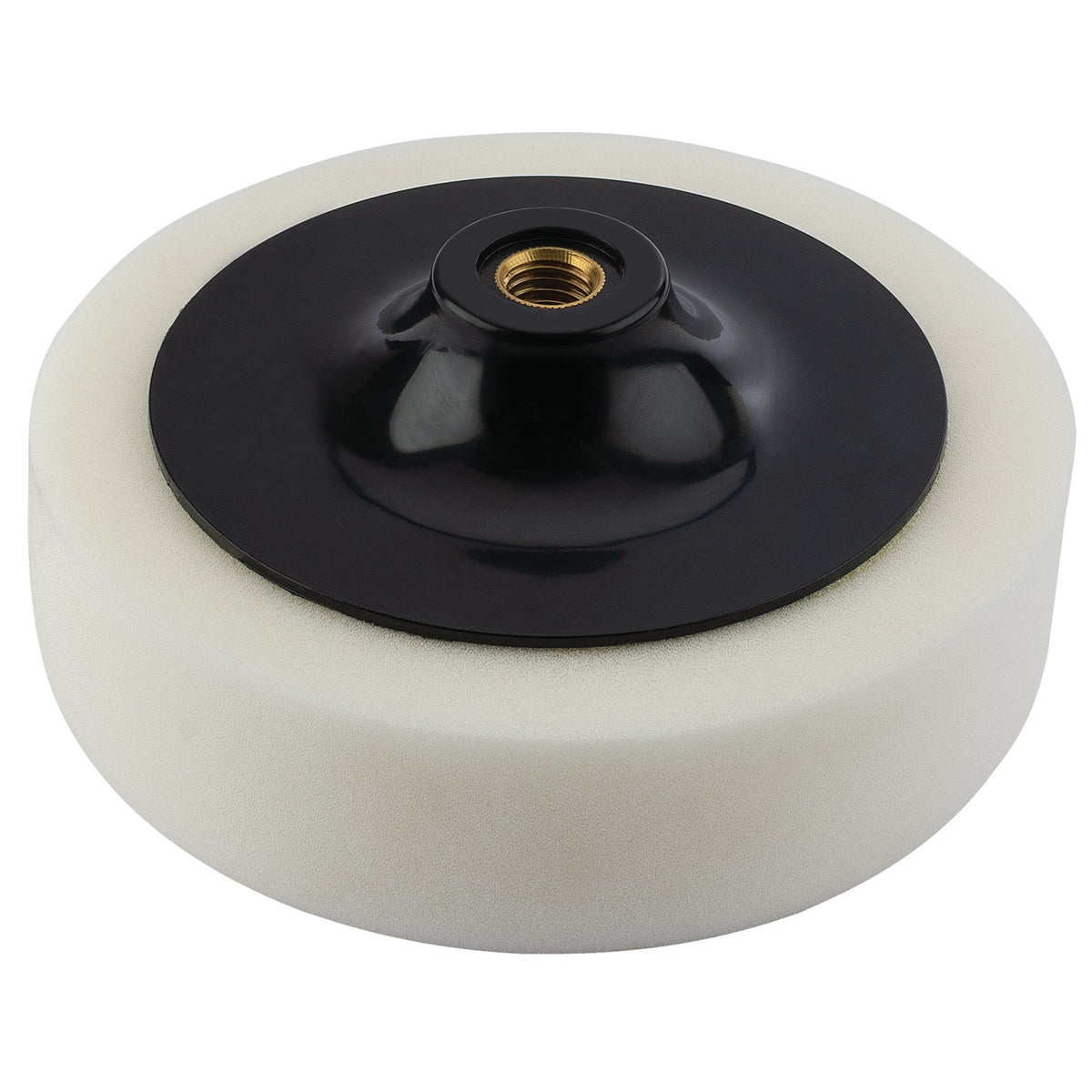 Firm Polishing Sponge with M14 Thread (150mm): Model No.APT150M14