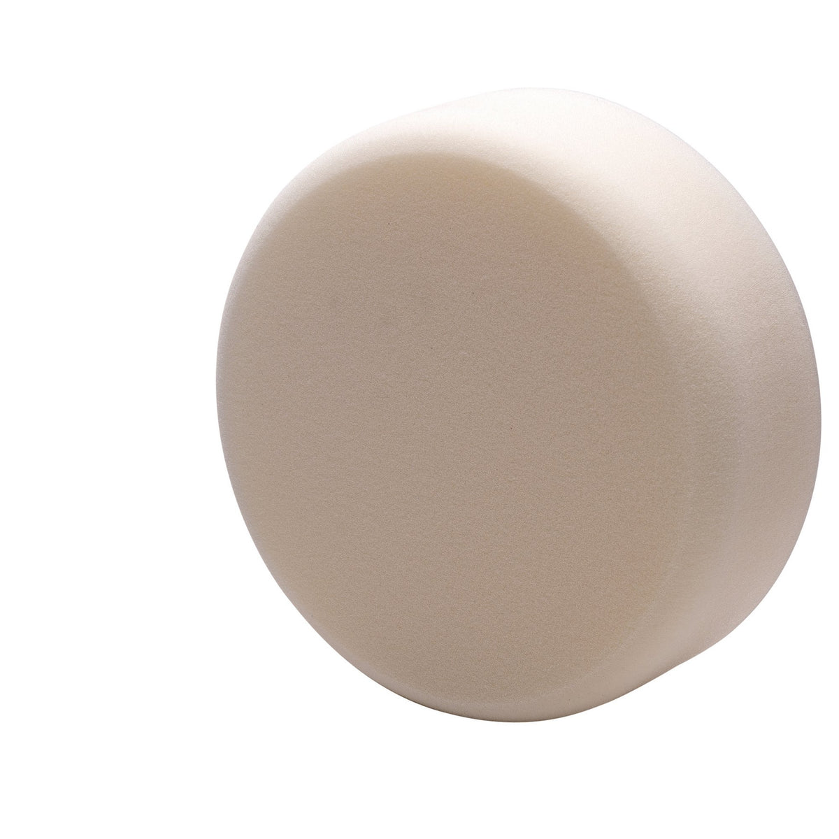 Firm Polishing Sponge (150mm): Model No.APT150