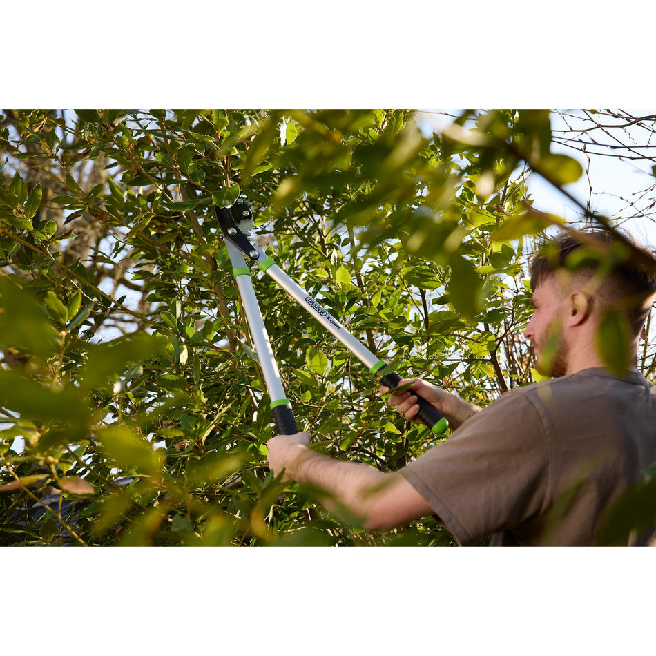 DRAPER Expert 685mm Gear Action Soft Grip Anvil Lopper with Aluminium Handles: Model No.GGAAL/AH/AQ