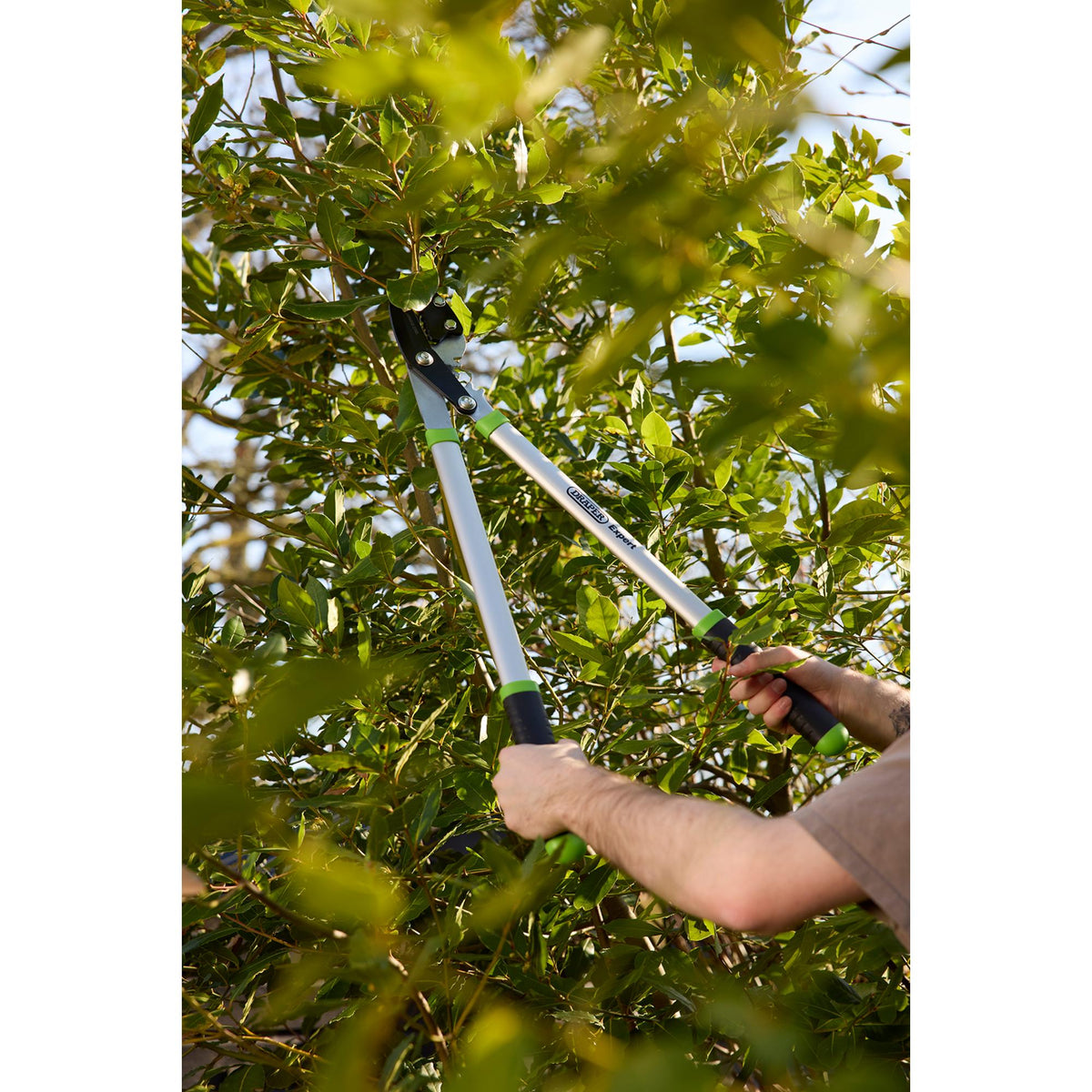 DRAPER Expert 685mm Gear Action Soft Grip Anvil Lopper with Aluminium Handles: Model No.GGAAL/AH/AQ