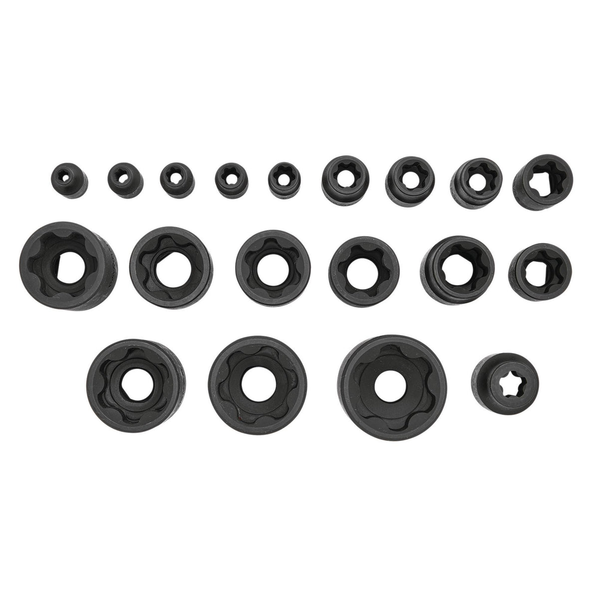 External Torx Plus Socket Set, 1/4", 3/8", 1/2" Sq. Dr. (19 Piece)