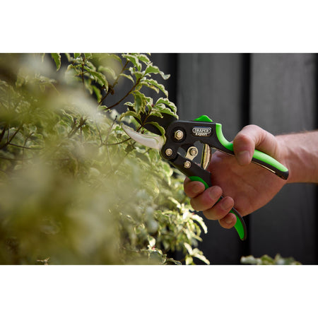 Anvil and Bypass Secateurs Set, 200mm (2 Piece): Model No. BASEC/2