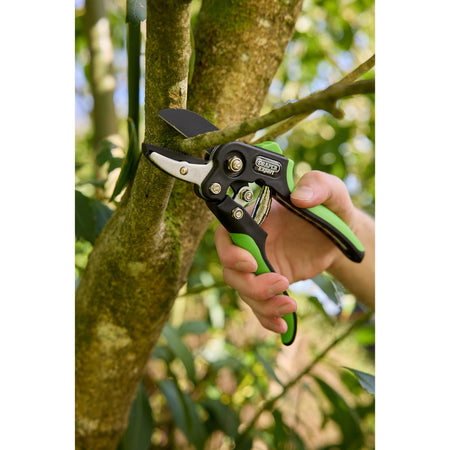 Anvil and Bypass Secateurs Set, 200mm (2 Piece): Model No. BASEC/2