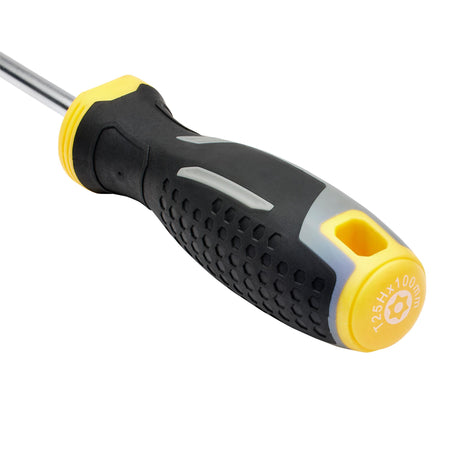 Draper TX-STAR Tamperproof Soft Grip Screwdriver, T25H x 100mm : Model No. 200/TH