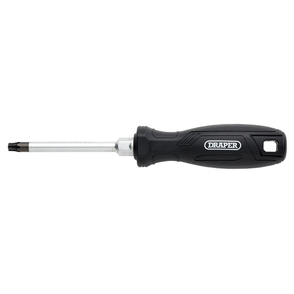 Draper TX-STAR Hard Grip Screwdriver, T40 x 100mm : Model No. 220/T