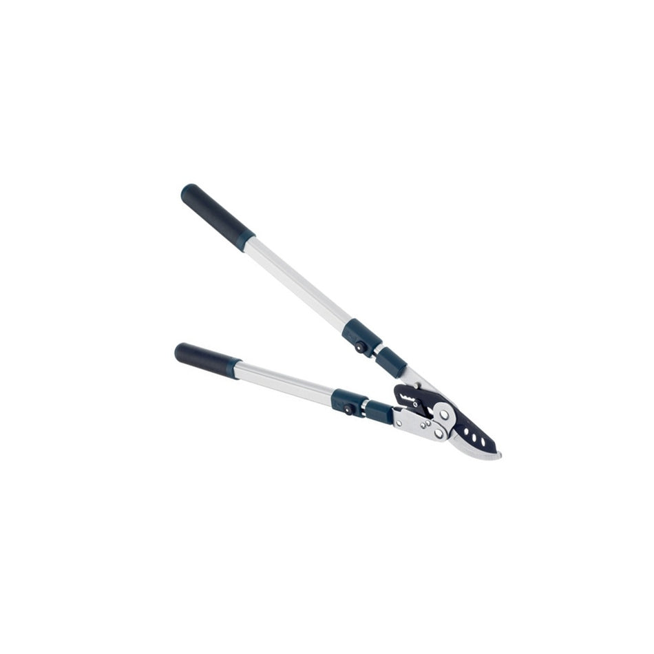 Bulldog BD3113TW Evergreen Bypass Lopper - Extending
