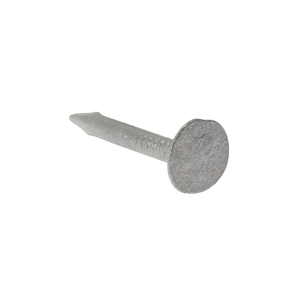 Forgefix Clout Nail Extra Large Head Galvanised 30mm Bag Weight 2.5kg