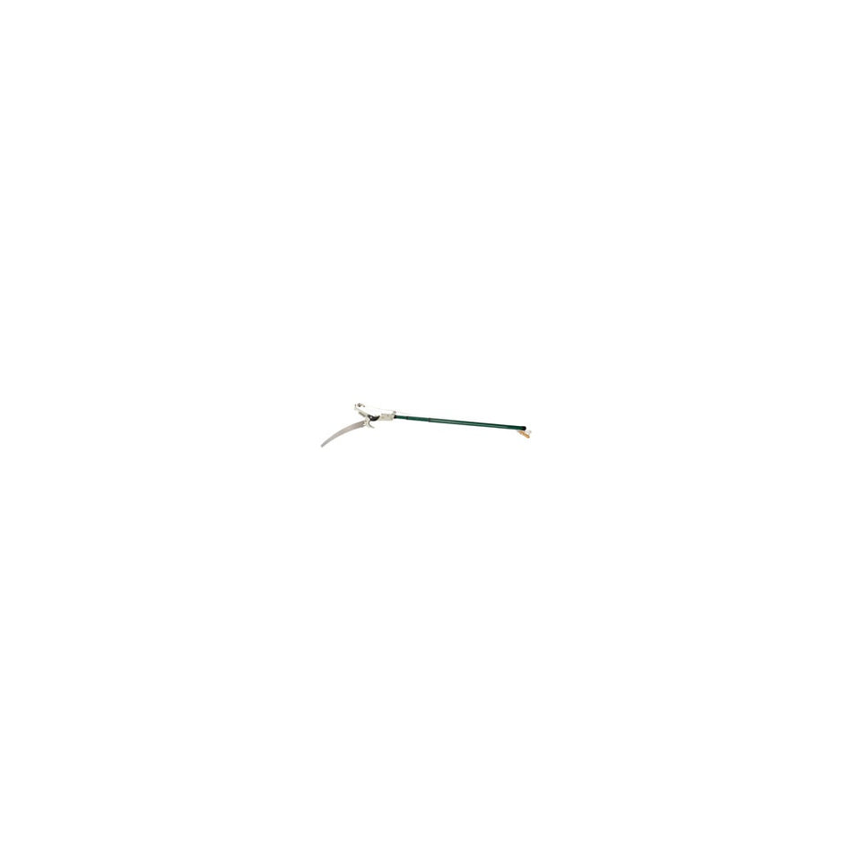 DRAPER Tree Pruner with Telescopic Handle - Cutting Capacity 32mm Dia.: Model No.G1100