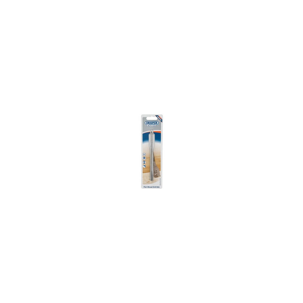 DRAPER Expert 6.0mm Flat Wood Bit: Model No.FB100PB