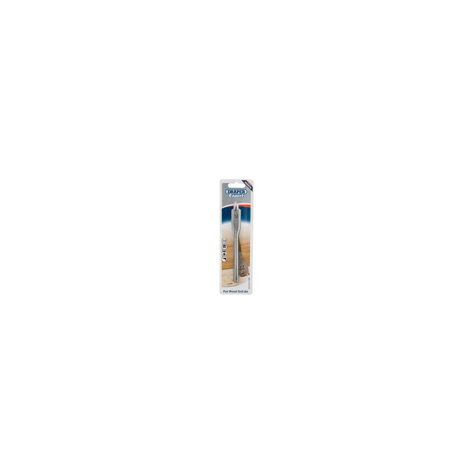 DRAPER Expert 10.0mm Flat Wood Bit: Model No.FB100PB