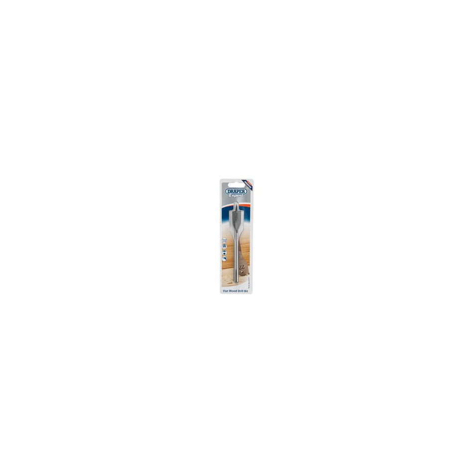 DRAPER Expert 18.0mm Flat Wood Bit: Model No.FB100PB