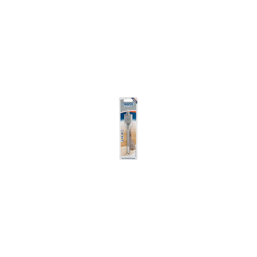 DRAPER Expert 22.0mm Flat Wood Bit: Model No.FB100PB