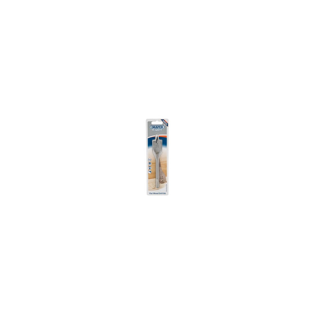 DRAPER Expert 24.0mm Flat Wood Bit: Model No.FB100PB