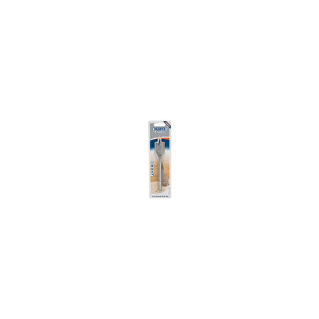 DRAPER Expert 24.0mm Flat Wood Bit: Model No.FB100PB