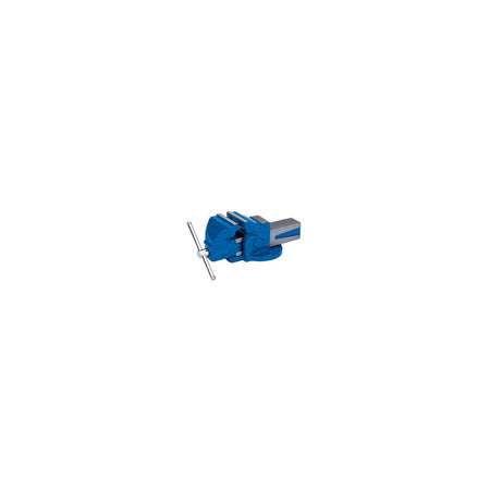 DRAPER 100mm Engineers Bench Vice: Model No.BV100/L