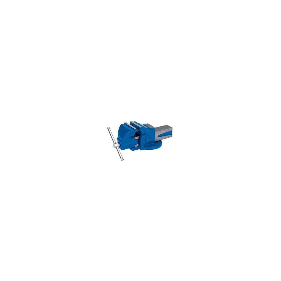 DRAPER 100mm Engineers Bench Vice: Model No.BV100/L
