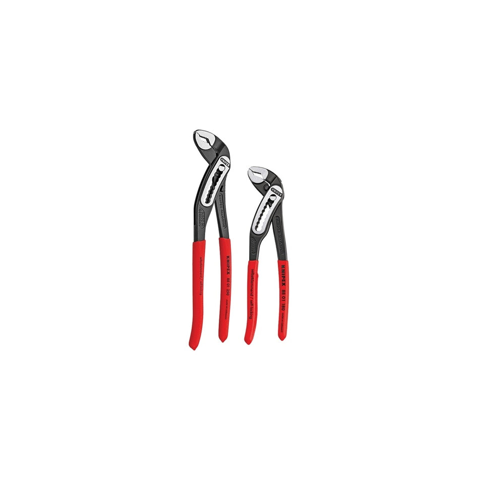 Set of 2 Alligator Pliers