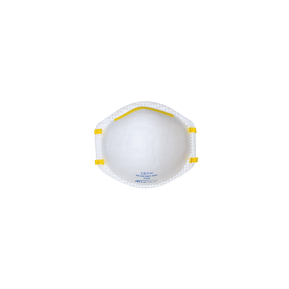 P1 Disp Respirator (20)