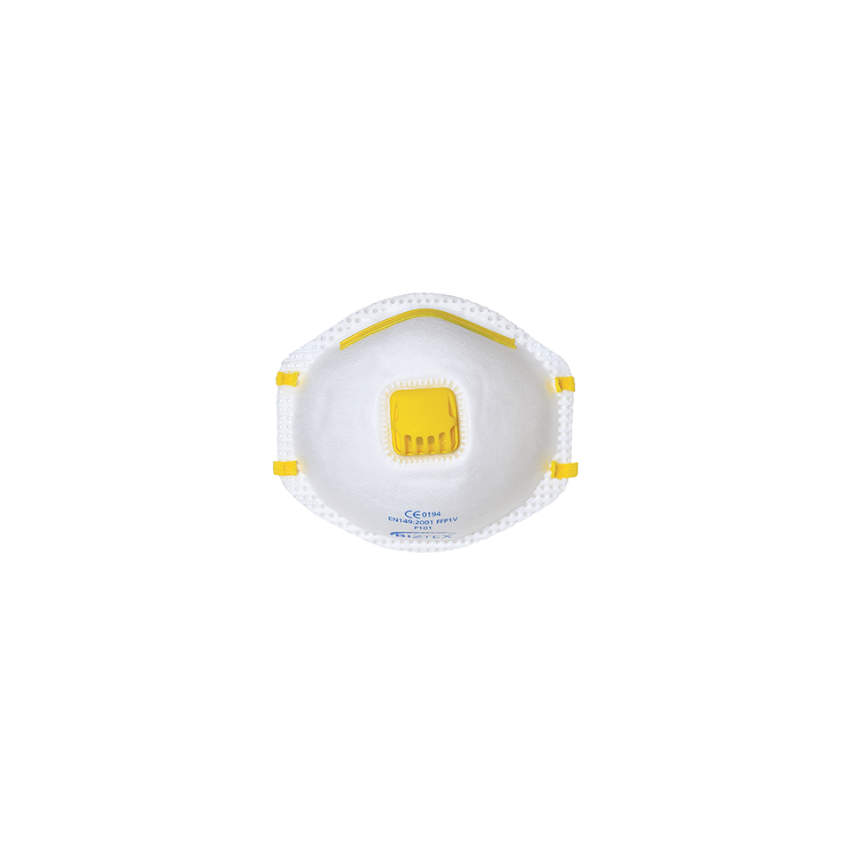 P1V Disp Respirator (10)