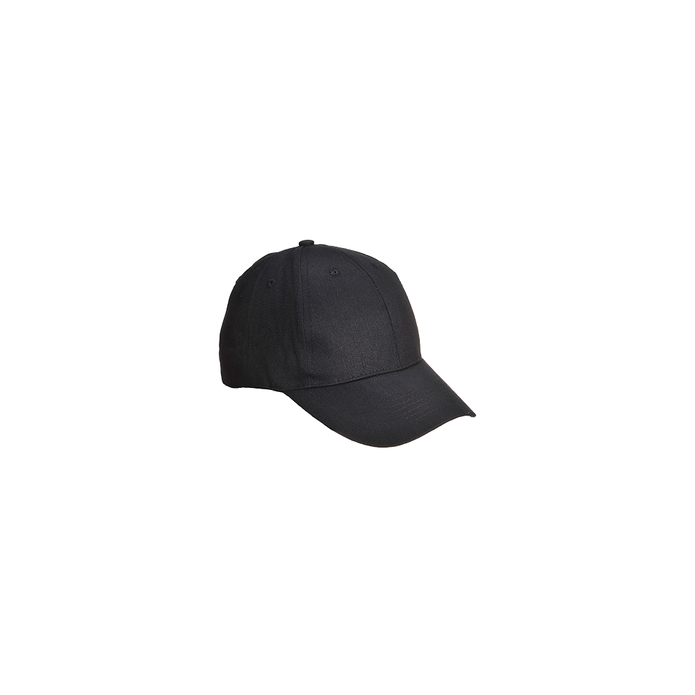 Six Panel Baseball Cap