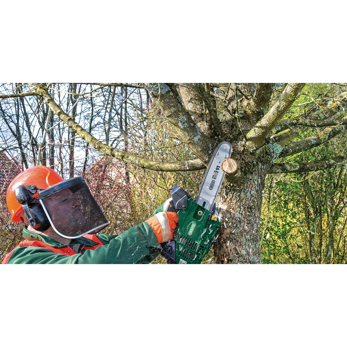 DRAPER 25.4cc 250mm Petrol Chainsaw with Oregon Chain and Bar