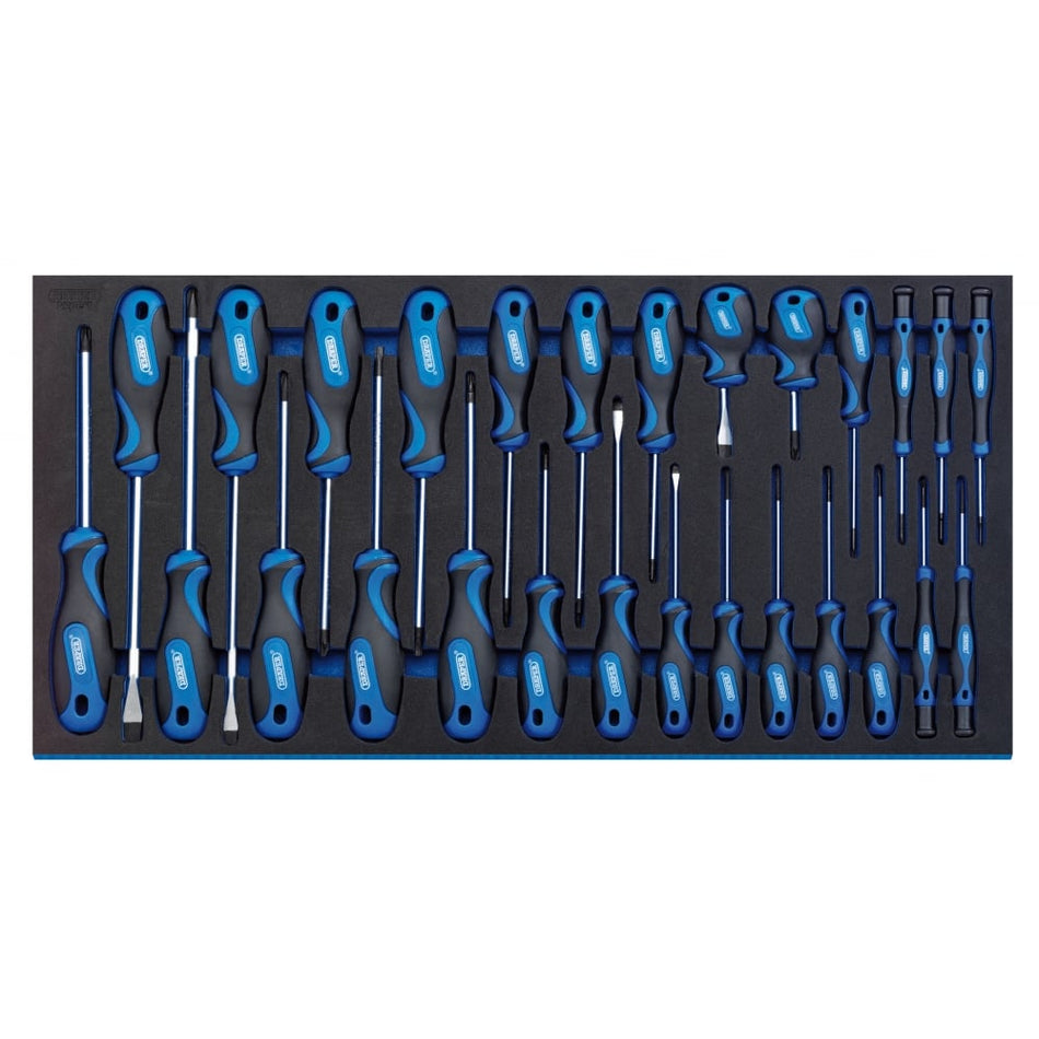 DRAPER Screwdriver Set in Full Drawer EVA Insert Tray (27 Piece): Model No. IT-EVA17