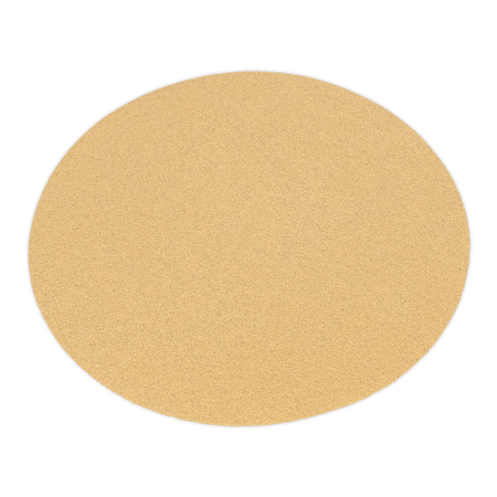 Sealey 150mm Adhesive Backed Sanding Disc 80Grit Model No-SSD02