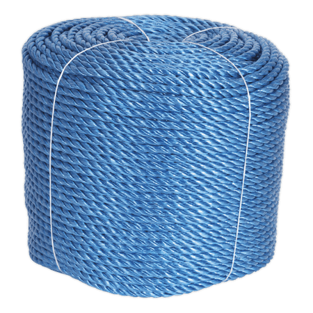 Polypropylene Rope 10mm x 220m : Model No.RC10220