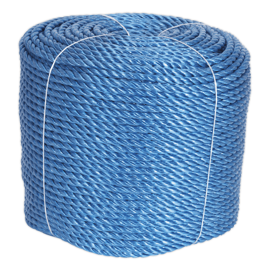 Polypropylene Rope Ã‡?10mm x 220mtr : Model No.RC10220