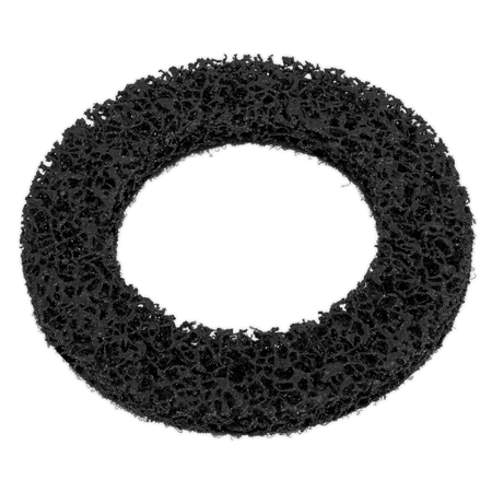 Sealey Cleaning Disc for VS8001 Model No-VS8001A