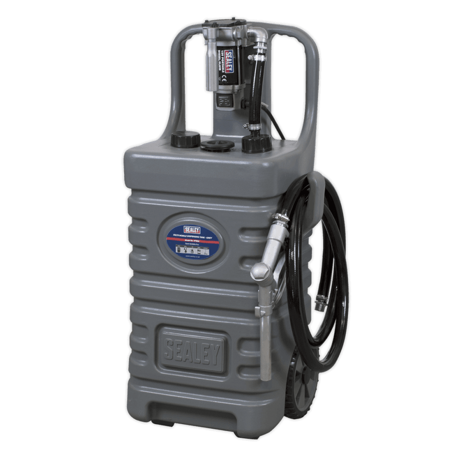 Sealey 55ltr Mobile Dispensing Tank with Diesel Pump - Grey Model No-DT55GCOMBO1