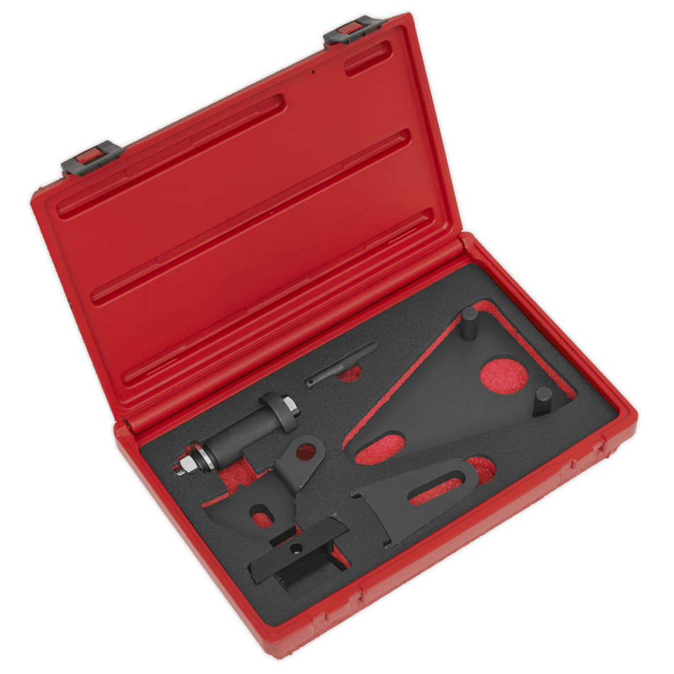 Sealey Front Pulley & Flywheel Locking Tool Set Model No.-VSE5032