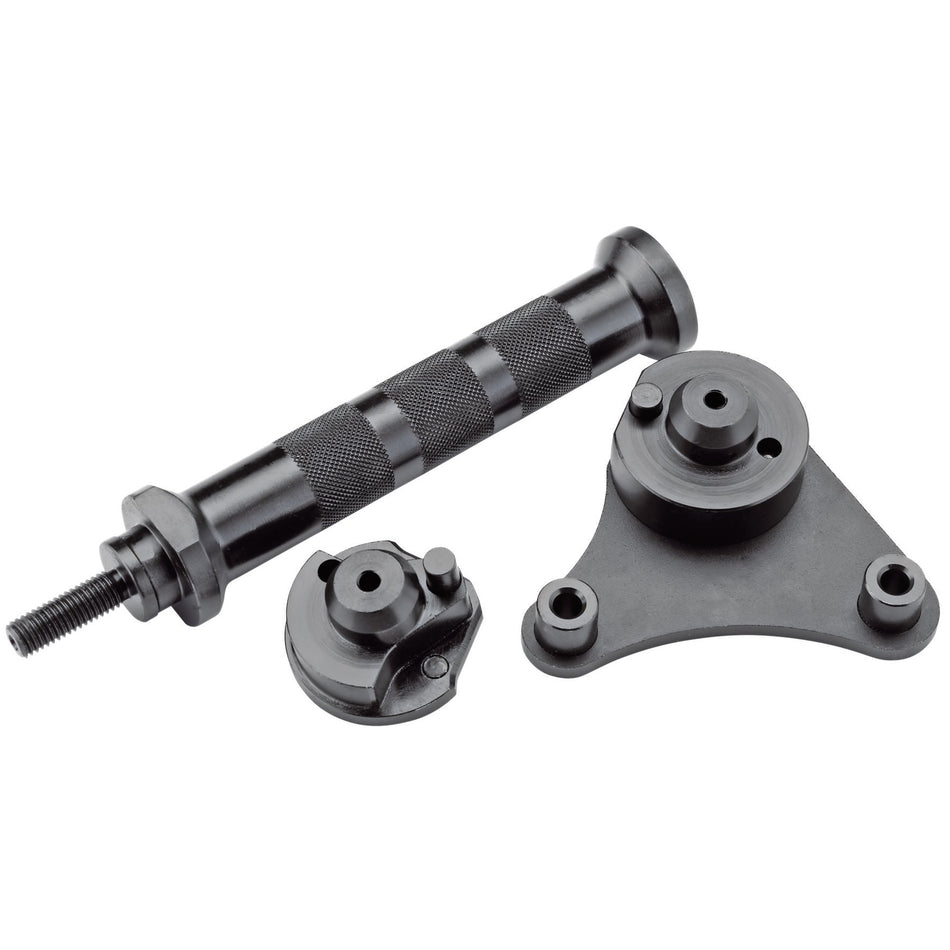 Balance Shaft Removal and Alignment Tool Kit (BMW, MINI): Model No.ETK124