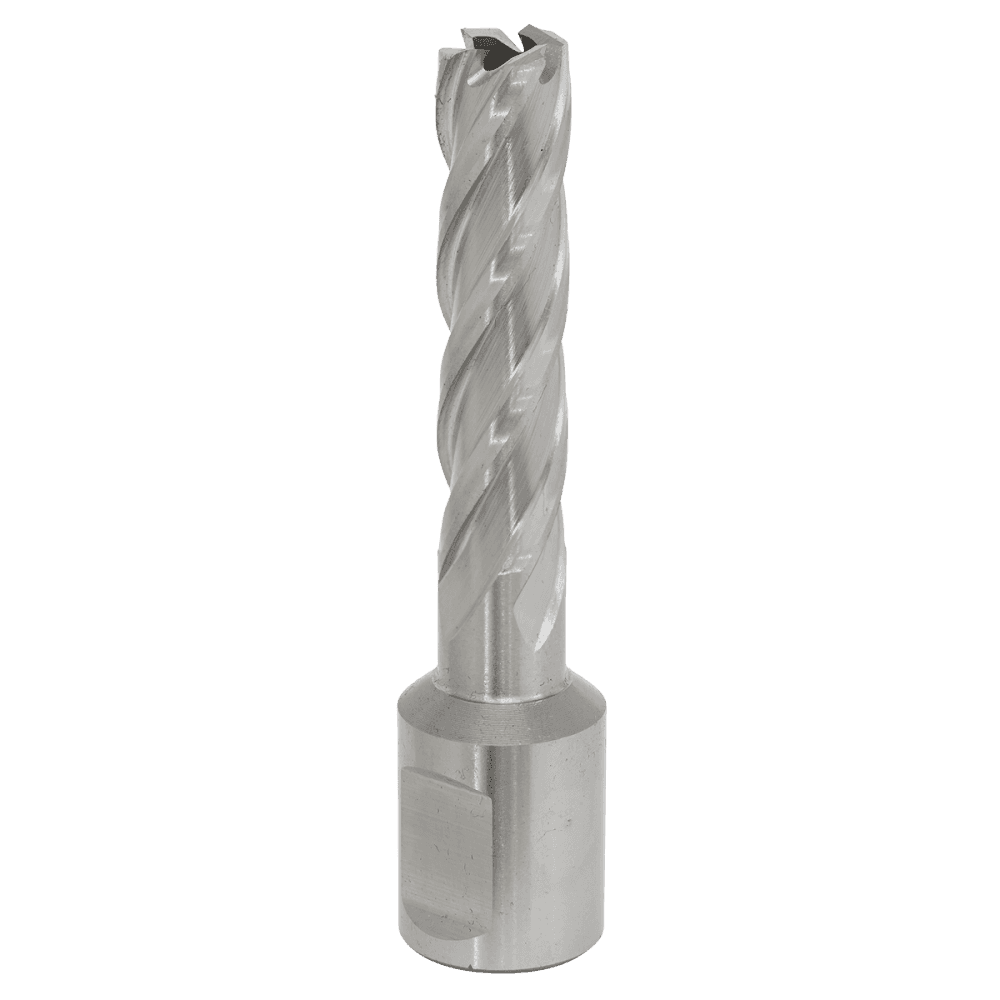 Rotabor Cutter HSS 12mm - Cut Depth 50mm Model No-RBHSS12L