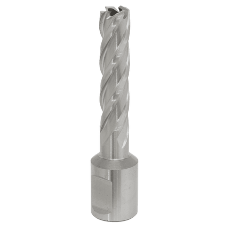 Rotabor Cutter HSS 12mm - Cut Depth 50mm Model No-RBHSS12L