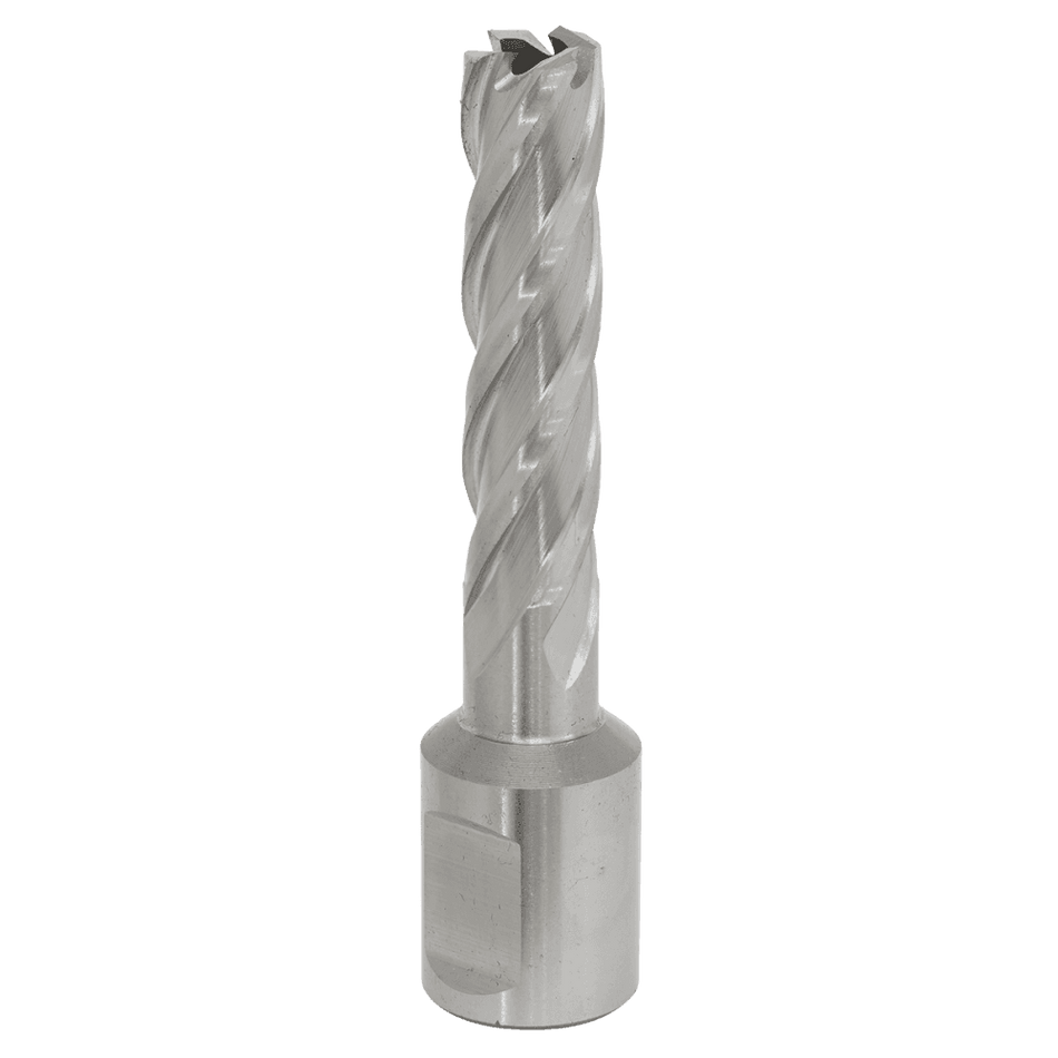 Rotabor Cutter HSS 12mm - Cut Depth 50mm Model No-RBHSS12L