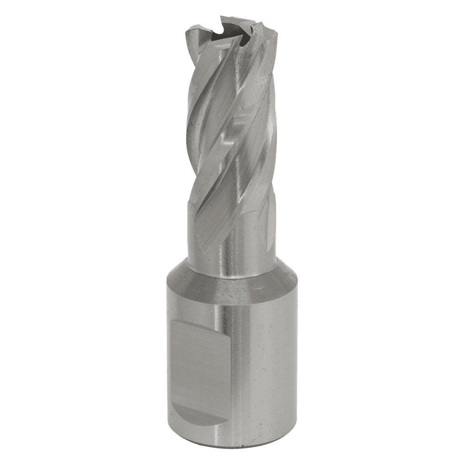 Rotabor Cutter HSS 12mm - Cut Depth 25mm Model No-RBHSS12S