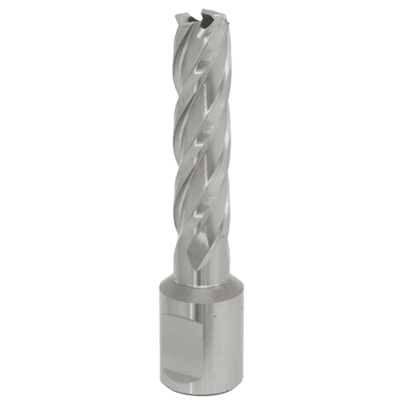 Rotabor Cutter HSS 13mm - Cut Depth 50mm Model No-RBHSS13L