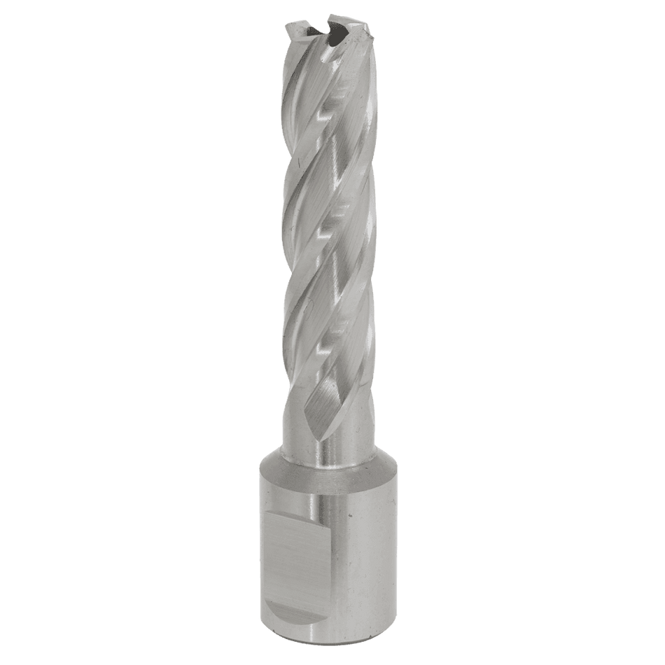 Rotabor Cutter HSS 13mm - Cut Depth 50mm Model No-RBHSS13L