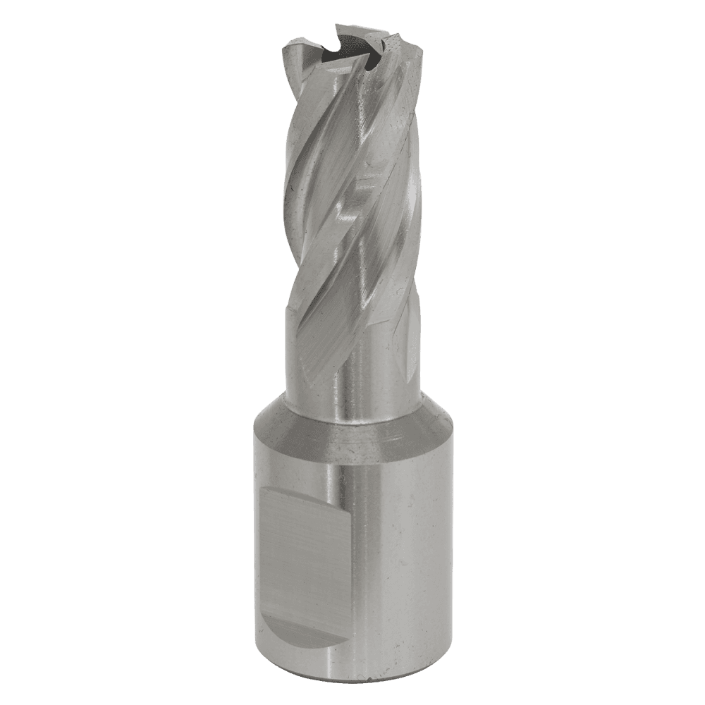 Rotabor Cutter HSS 13mm - Cut Depth 25mm Model No-RBHSS13S