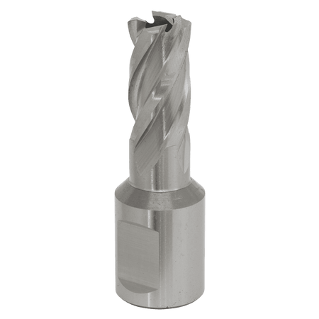 Rotabor Cutter HSS 13mm - Cut Depth 25mm Model No-RBHSS13S