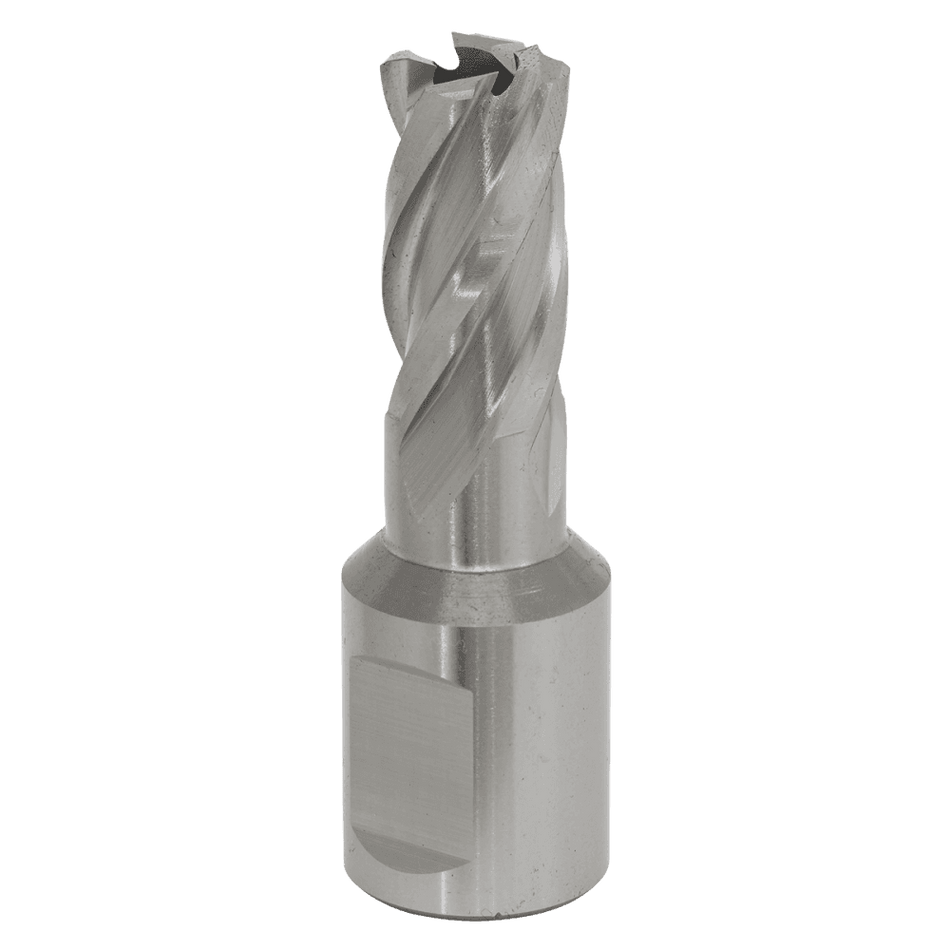 Rotabor Cutter HSS 13mm - Cut Depth 25mm Model No-RBHSS13S