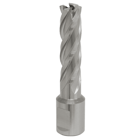 Rotabor Cutter HSS 14mm - Cut Depth 50mm Model No-RBHSS14L