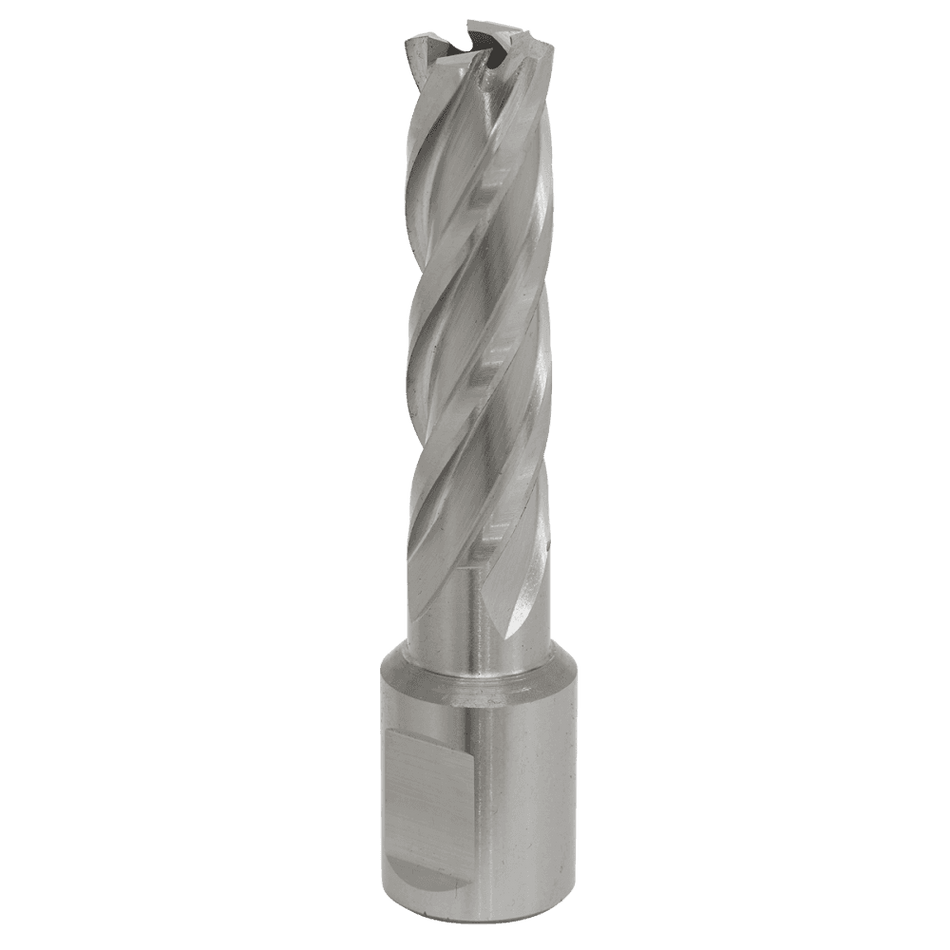 Rotabor Cutter HSS 14mm - Cut Depth 50mm Model No-RBHSS14L