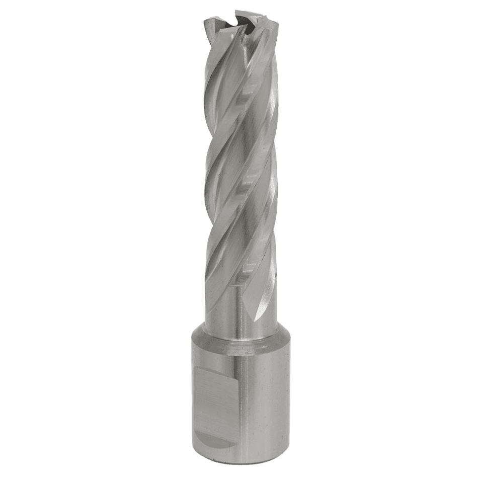 Rotabor Cutter HSS 15mm - Cut Depth 50mm Model No-RBHSS15L