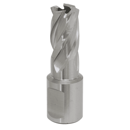 Rotabor Cutter HSS 15mm - Cut Depth 25mm Model No-RBHSS15S