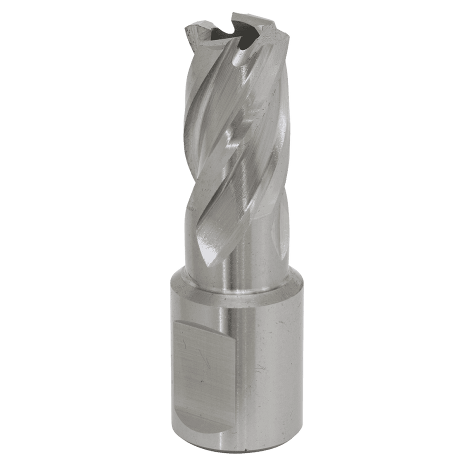 Rotabor Cutter HSS 15mm - Cut Depth 25mm Model No-RBHSS15S