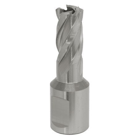 Rotabor Cutter HSS 16mm - Cut Depth 25mm Model No-RBHSS16S