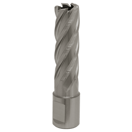 Rotabor Cutter HSS 17mm - Cut Depth 50mm Model No-RBHSS17L